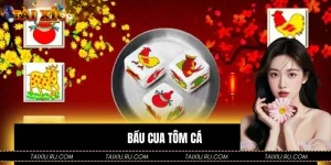 Bầu Cua Tôm Cá Là Gì? Hướng Dẫn Cách Chơi Cho Người Mới