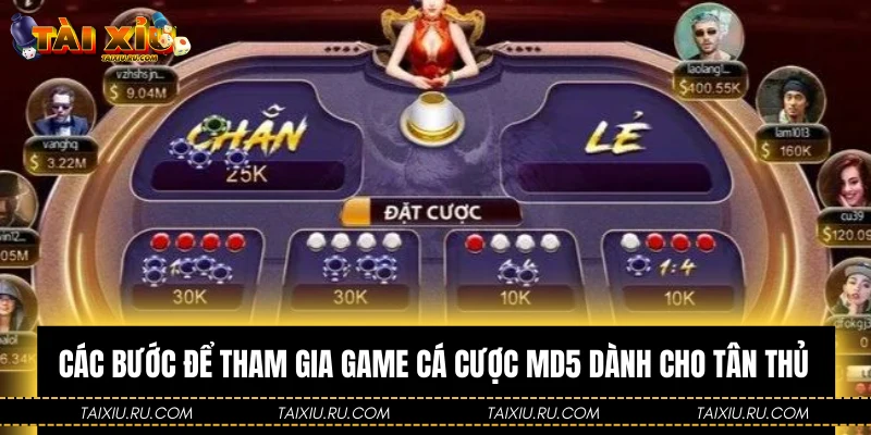 Các bước để tham gia game cá cược MD5 dành cho tân thủ