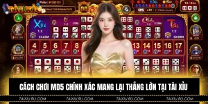 Cách Chơi MD5 Chính Xác Mang Lại Thắng Lớn Tại Tài Xỉu