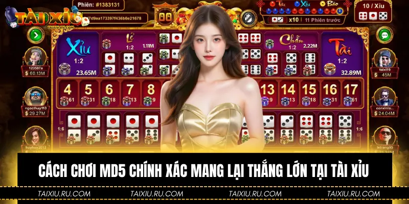 Cách Chơi MD5 Chính Xác Mang Lại Thắng Lớn Tại Tài Xỉu