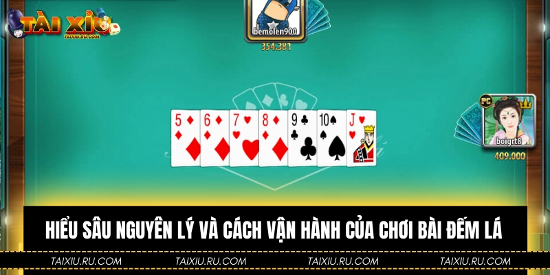 Hiểu sâu nguyên lý và cách vận hành của chơi bài đếm lá