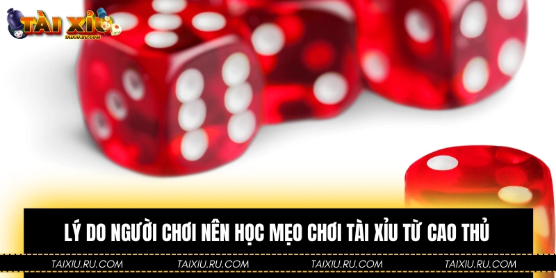 Lý do người chơi nên học mẹo chơi Tài Xỉu từ các cao thủ