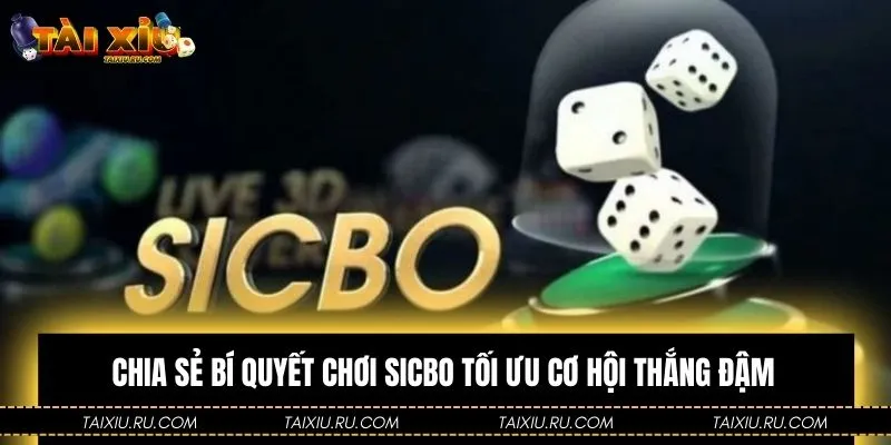 Áp dụng các mẹo chơi Sicbo hiệu quả để thắng lớn