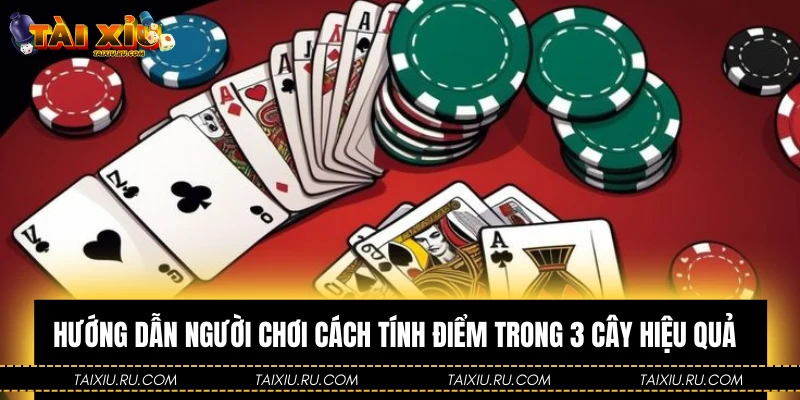 Hướng dẫn người chơi cách tính điểm trong 3 cây hiệu quả 