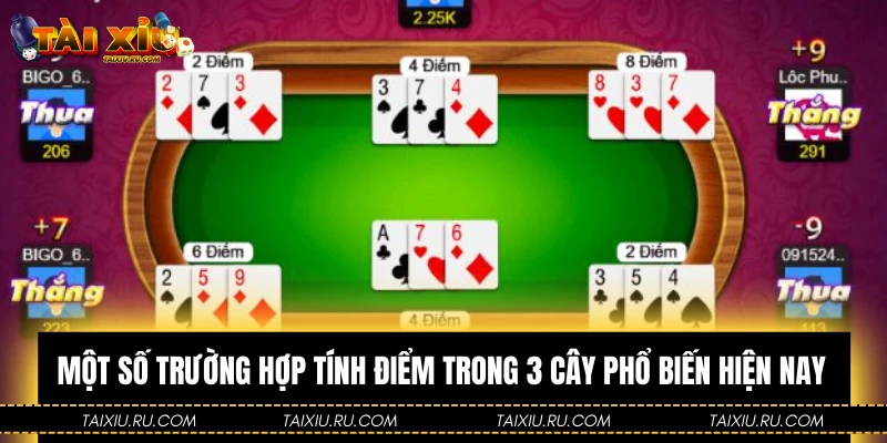 Một số trường hợp tính điểm trong 3 cây phổ biến hiện nay