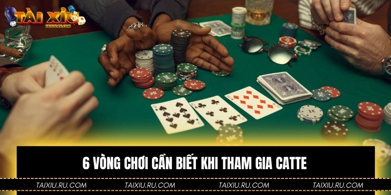 6 vòng chơi cần biết khi tham gia Catte